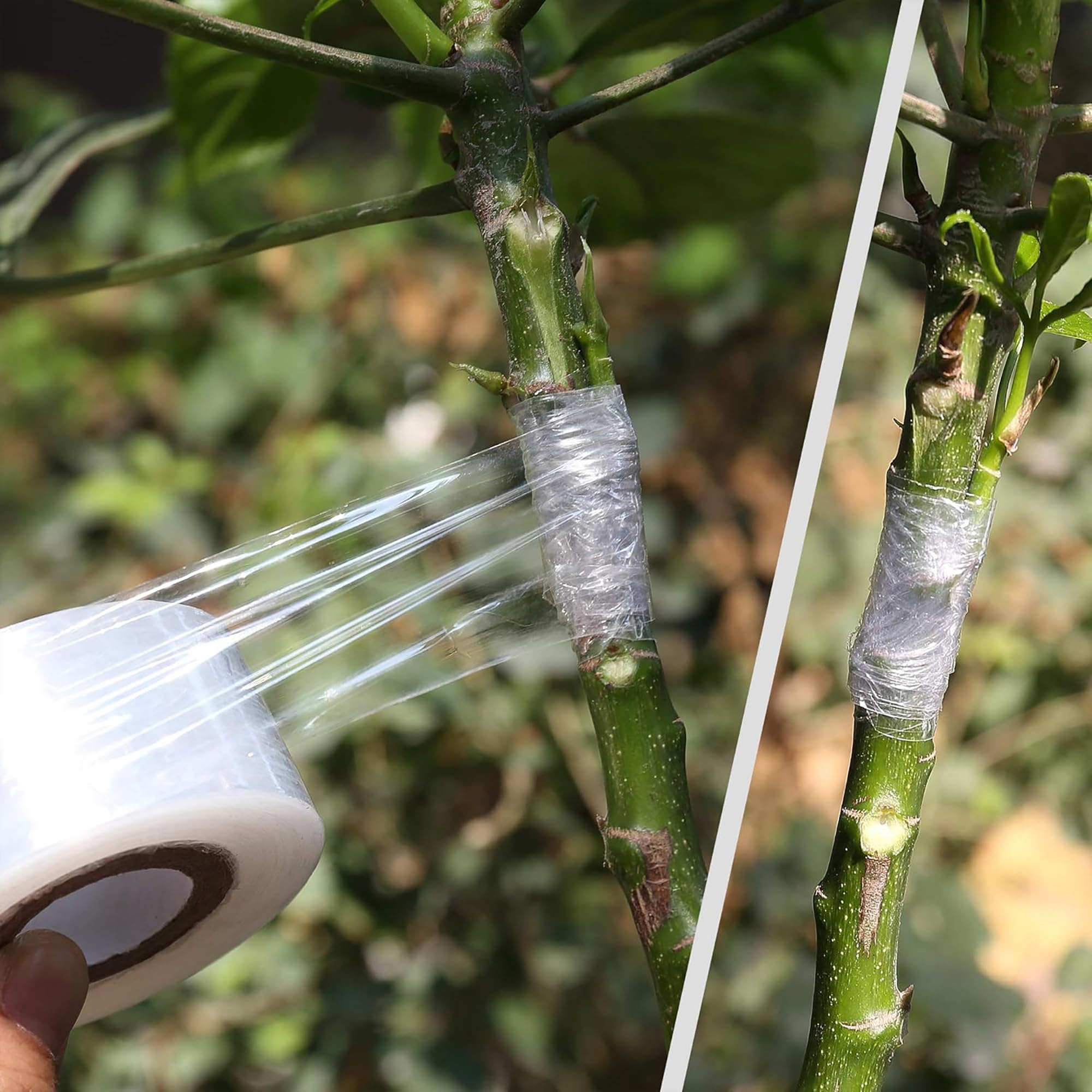 Kolay Kullanımlı Biyobozunur K - Gardening Tools Uses incelemesi ve fiyatı