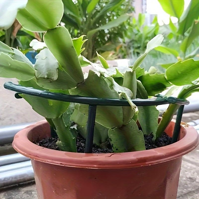 30-1 adet plastik bitki desteğ - Gardening Tools Gifts incelemesi ve fiyatı
