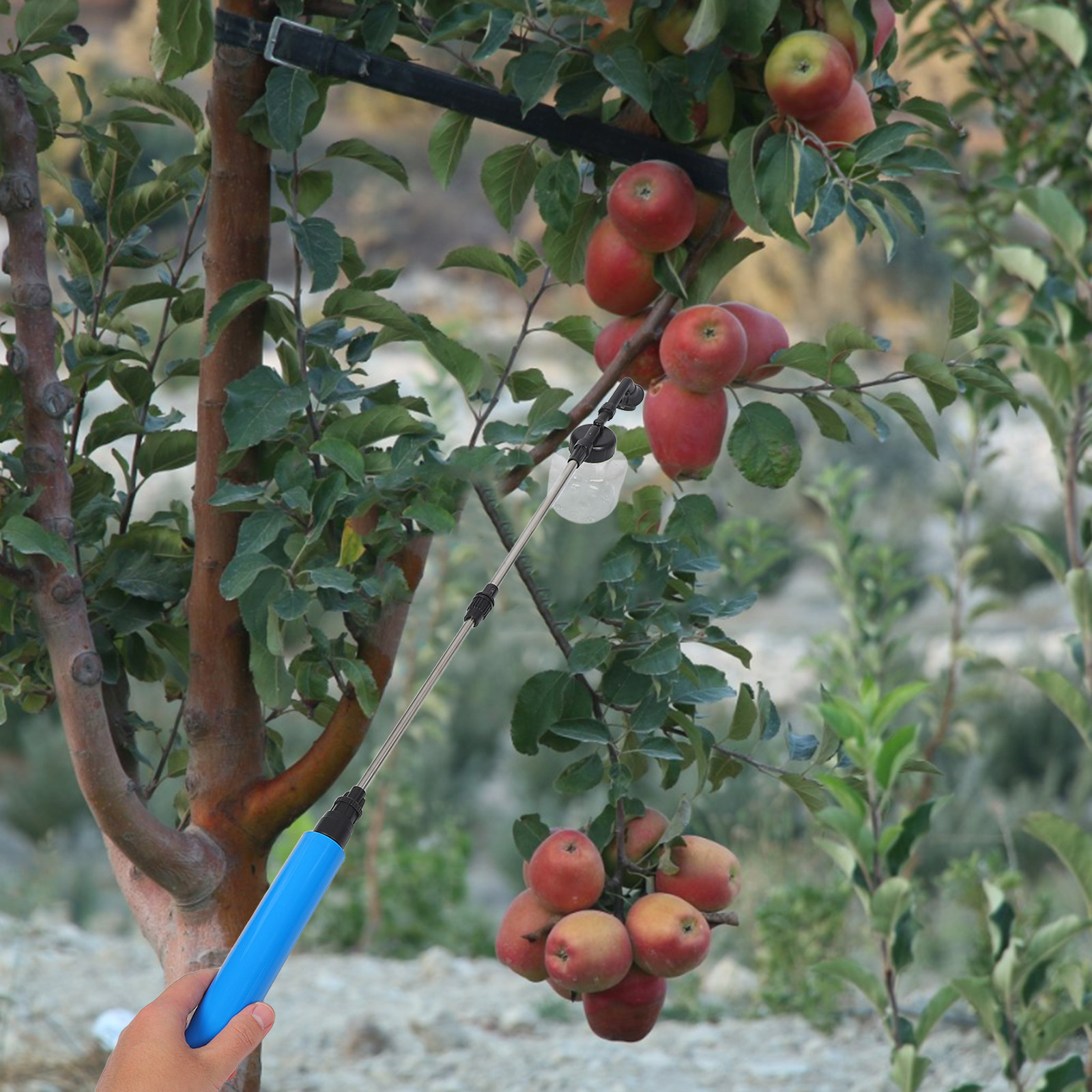 Meyve Ağaçları, Sebzeler, Bahç - Gardening Tools Uses incelemesi ve fiyatı
