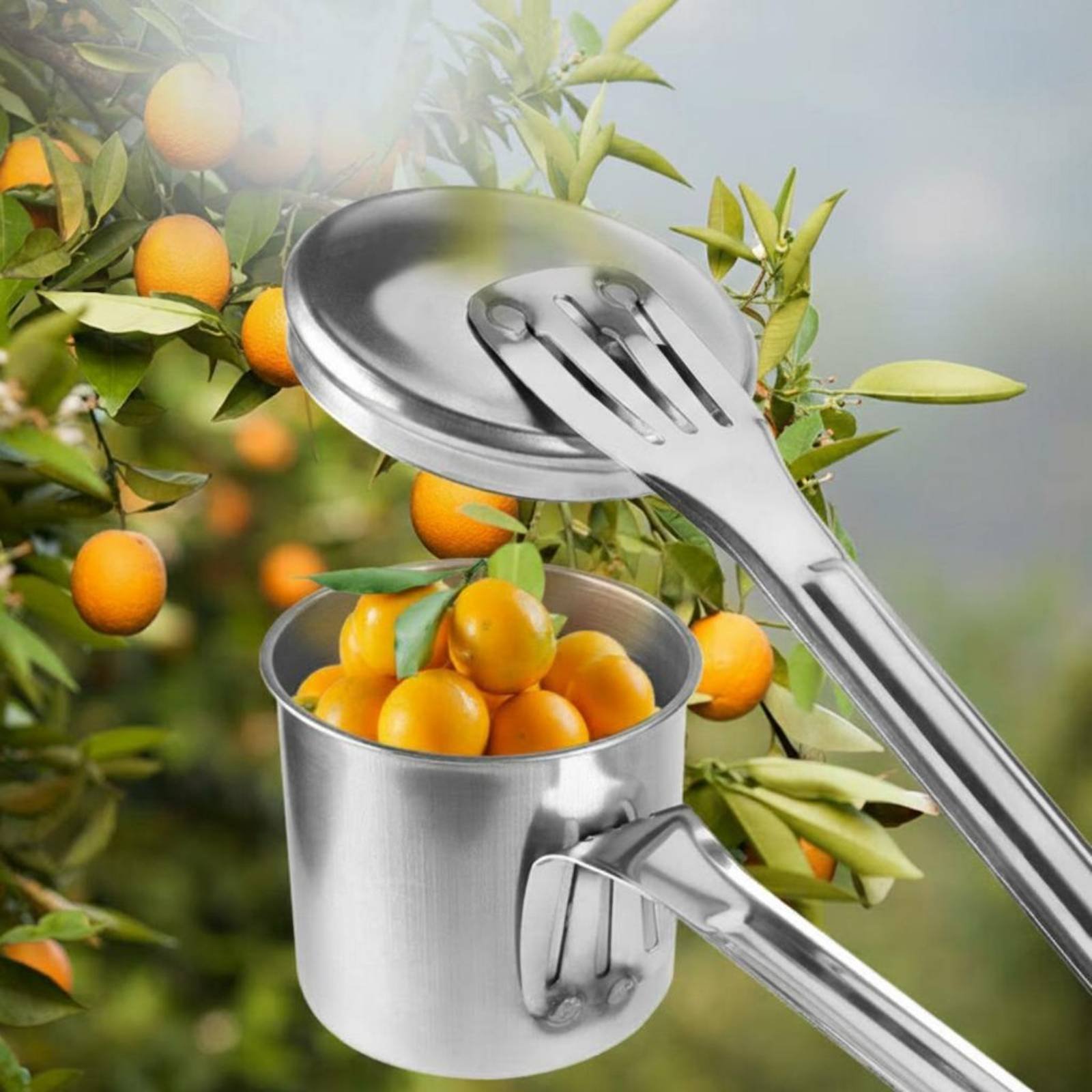 Bardak Meyve Toplayıcı Paslanm - Gardening Tools Uses incelemesi ve fiyatı